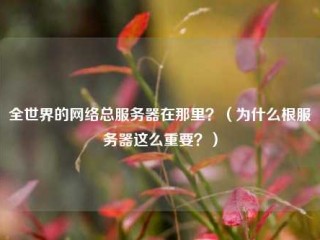 全世界的网络总服务器在那里？（为什么根服务器这么重要？）