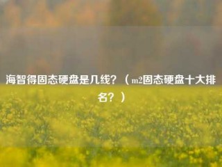 海智得固态硬盘是几线？（m2固态硬盘十大排名？）