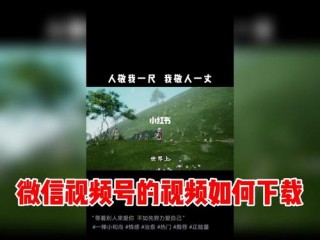 怎么下载微信视频?（怎么下载微信视频号的视频)