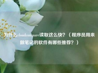 为什么cloudcompare读取这么快？（程序员用来做笔记的软件有哪些推荐？）