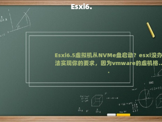 Esxi6.5虚拟机从NVMe盘启动？（esxi文件格式）