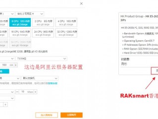美国云主机服务商(RAKsmart美国裸机云服务器一键安装NoKVM主控面板教)