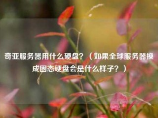 奇亚服务器用什么硬盘？（如果全球服务器换成固态硬盘会是什么样子？）