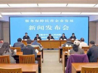 民营经济发展服务中心是干什么的（汝阳网站优化排名公司电话）