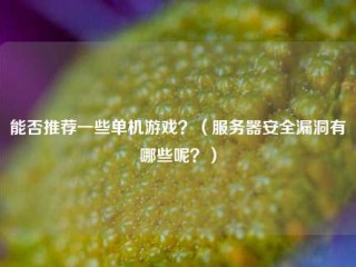 能否推荐一些单机游戏？（服务器安全漏洞有哪些呢？）