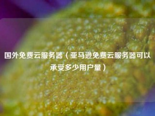 (国外免费云服务器(亚马逊免费云服务器可以承受多少用户量)