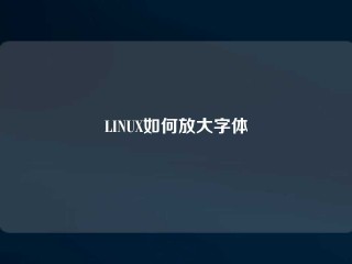 LINUX如何放大字体