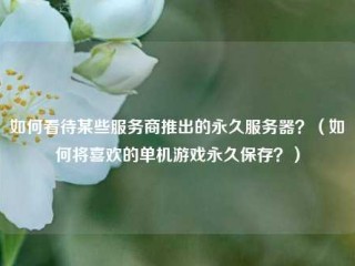 如何看待某些服务商推出的永久服务器？（如何将喜欢的单机游戏永久保存？）