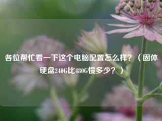 各位帮忙看一下这个电脑配置怎么样？（固体硬盘240G比480G慢多少？）