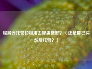 服务器托管和租用去哪里选好？（还是自己买然后托管？）