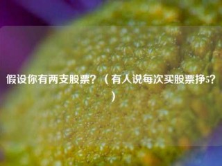 假设你有两支股票？（有人说每次买股票挣5？）