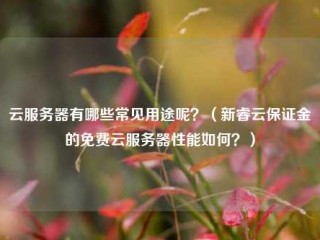 云服务器有哪些常见用途呢？（新睿云保证金的免费云服务器性能如何？）