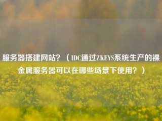 服务器搭建网站？（IDC通过ZKEYS系统生产的裸金属服务器可以在哪些场景下使用？）