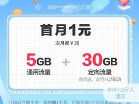 100元包5g省内流量包月包是啥意思？（100元一次包括什么服务器）