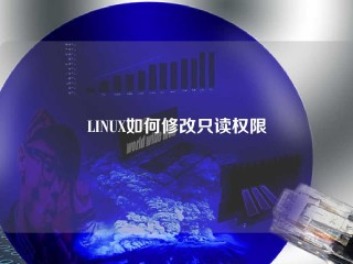 LINUX如何修改只读权限