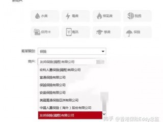 香港友邦保险怎么网上缴费？（友邦公司网站）