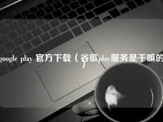 谷歌Play官方下载(谷歌Play服务是干嘛的)