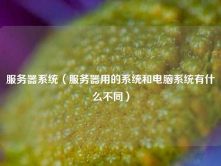 (服务器系统(服务器用的系统和电脑系统有什么不同)