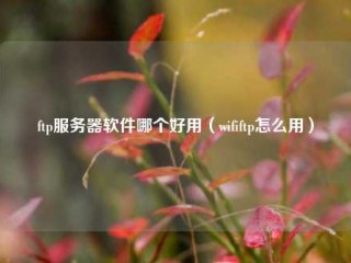 ftp服务器软件哪个好用（wififtp怎么用）