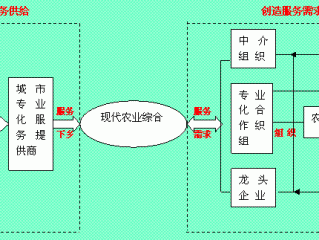 如何理解现代农业体系？（服务体系设置，服务体系的介绍）