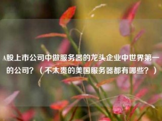 一辆股上市公司中做服务器的龙头企业中世界第一的公司？(不太贵的美国服务器都有哪些？)