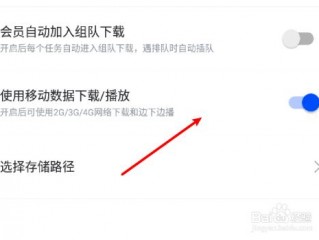 迅雷怎么设置流量下载，请问讯雷如何设置成流量下载