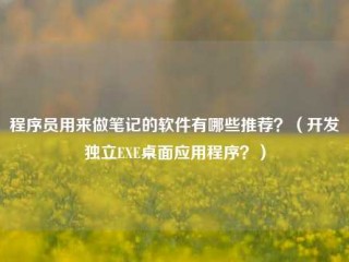 程序员用来做笔记的软件有哪些推荐？（开发独立EXE桌面应用程序？）