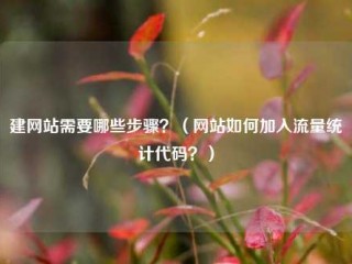 建网站需要哪些步骤？（网站如何加入流量统计代码？）