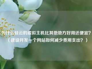 为什么硅云的虚拟主机比其他地方好用还便宜？（建设开发一个网站如何减少费用支出？）