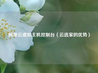 阿里云虚拟主机控制台（云选家的优势）