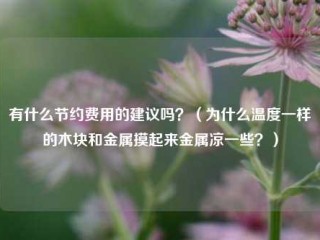 有什么节约费用的建议吗？（为什么温度一样的木块和金属摸起来金属凉一些？）