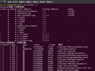 Linux的netstat命令怎么使用