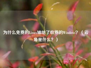 为什么免费的Linux输给了收费的Windows？（云角是什么？）