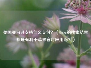 美国亚马逊支持什么支付？（Store的搜索结果都是有利于苹果官方应用吗？）