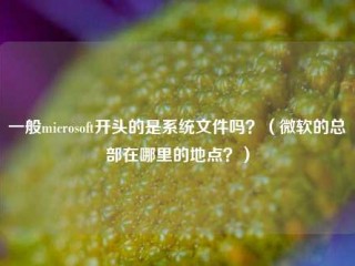 一般microsoft开头的是系统文件吗？（微软的总部在哪里的地点？）