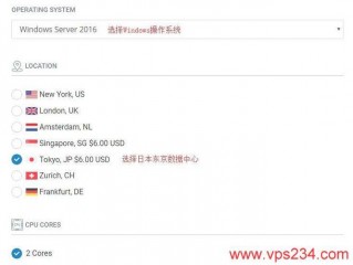 为什么选择日本VPS而不是其他国家的VPS？