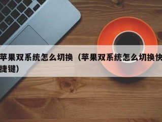 苹果怎么进双系统？（苹果怎么双系统）