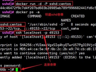 宿主机telnet不通docker容器内的ip地址怎么解决？（网站打不开数据库连不上-虚拟主机/数据库问题）