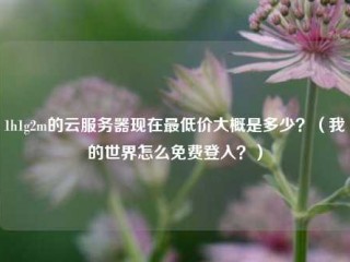 1h1g2m的云服务器现在最低价大概是多少？（我的世界怎么免费登入？）