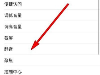 apple降噪设置？（苹果手机降噪在哪设置，iPhone使用哪种功能减小背景噪音吗）