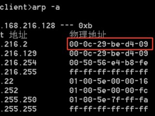 arp命令基本功能？（arp命令详解）