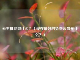 云主机能做什么？（现在最好的免费云盘是什么？）