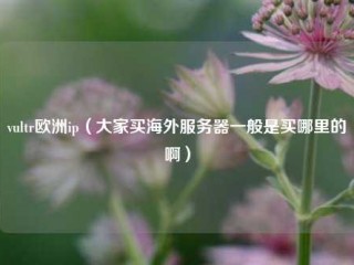 vultr欧洲ip（大家买海外服务器一般是买哪里的啊）