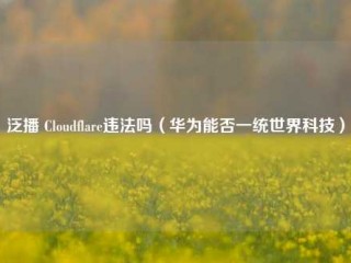 泛播 Cloudflare违法吗（华为能否一统世界科技）