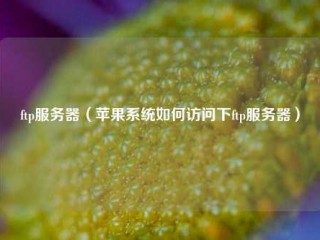 Ftp服务器(苹果系统如何访问下ftp服务器)