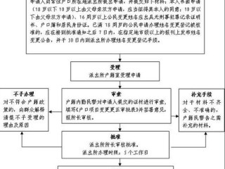 怎么更改名字?（更改名字需要什么流程)