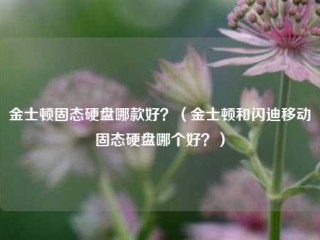 金士顿固态硬盘哪款好？（金士顿和闪迪移动固态硬盘哪个好？）