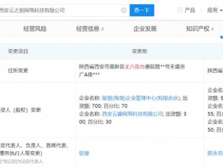 西安云代码是什么公司,西安的代码是什么