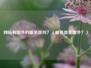 网站有国外的服务器吗？（服务器在国外？）