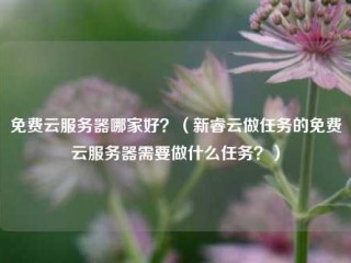 免费云服务器哪家好？（新睿云做任务的免费云服务器需要做什么任务？）